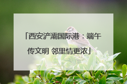 西安浐灞国际港：端午传文明 邻里情更浓