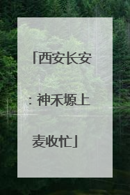 西安长安：神禾塬上麦收忙