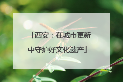 西安：在城市更新中守护好文化遗产