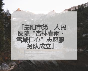 襄阳市第一人民医院“杏林春雨・雪域仁心”志愿服务队成立