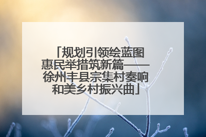规划引领绘蓝图 惠民举措筑新篇——徐州丰县宗集村奏响和美乡村振兴曲