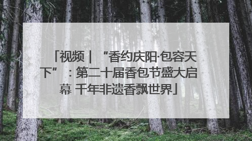 视频｜“香约庆阳·包容天下”：第二十届香包节盛大启幕 千年非遗香飘世界