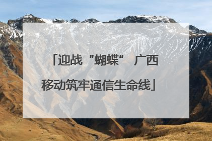 迎战“蝴蝶” 广西移动筑牢通信生命线