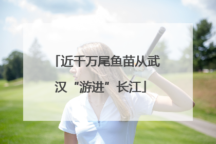 近千万尾鱼苗从武汉“游进”长江