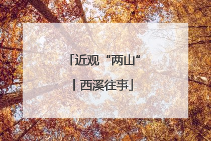 近观“两山”丨西溪往事