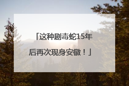 这种剧毒蛇15年后再次现身安徽！