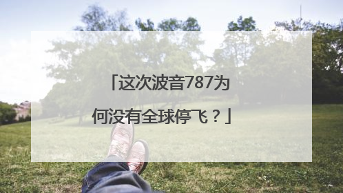 这次波音787为何没有全球停飞？