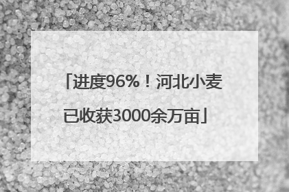 进度96%！河北小麦已收获3000余万亩