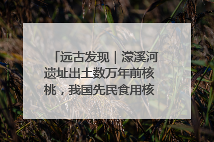 远古发现｜濛溪河遗址出土数万年前核桃，我国先民食用核桃历史大幅提前