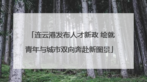 连云港发布人才新政 绘就青年与城市双向奔赴新图景