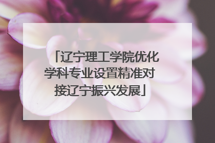 辽宁理工学院优化学科专业设置精准对接辽宁振兴发展