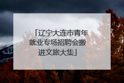 辽宁大连市青年就业专场招聘会搬进文旅大集