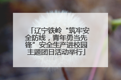 辽宁铁岭“筑牢安全防线，青年勇当先锋”安全生产进校园主题团日活动举行