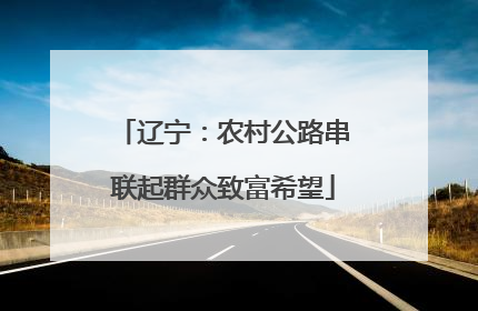 辽宁：农村公路串联起群众致富希望