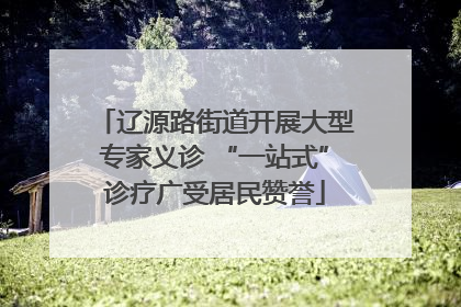 辽源路街道开展大型专家义诊 “一站式”诊疗广受居民赞誉