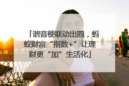 谐音梗联动出圈，蚂蚁财富“指数+”让理财更“加”生活化