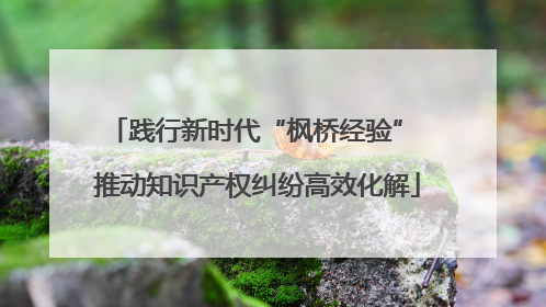 践行新时代“枫桥经验” 推动知识产权纠纷高效化解
