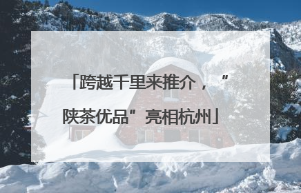 跨越千里来推介，“陕茶优品”亮相杭州