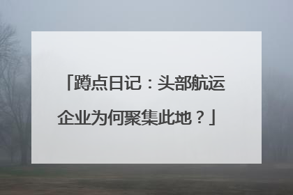 蹲点日记：头部航运企业为何聚集此地？