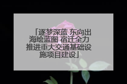 逐梦深蓝 东向出海绘蓝图 宿迁全力推进重大交通基础设施项目建设