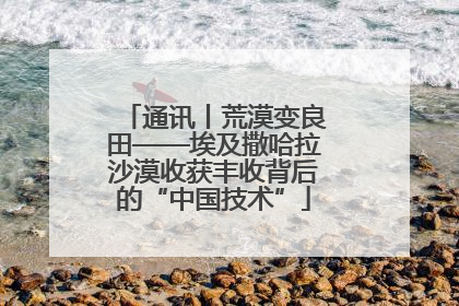 通讯丨荒漠变良田——埃及撒哈拉沙漠收获丰收背后的“中国技术”