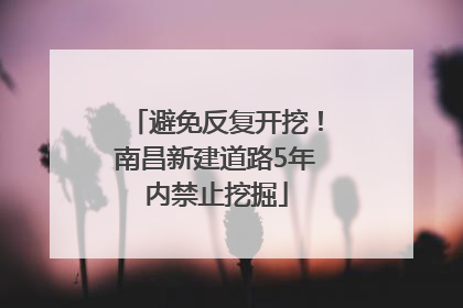 避免反复开挖！南昌新建道路5年内禁止挖掘