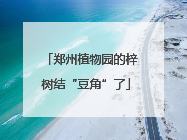 郑州植物园的梓树结“豆角”了