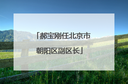 郝宝刚任北京市朝阳区副区长