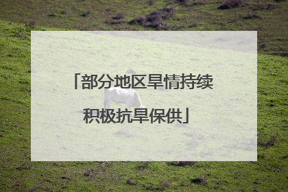 部分地区旱情持续 积极抗旱保供