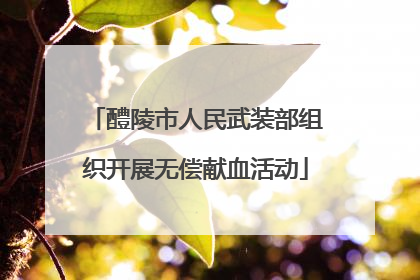 醴陵市人民武装部组织开展无偿献血活动
