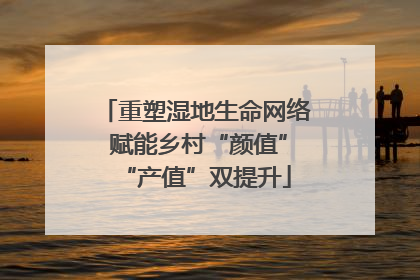 重塑湿地生命网络 赋能乡村“颜值”“产值”双提升
