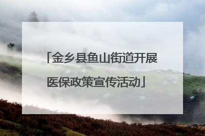 金乡县鱼山街道开展医保政策宣传活动
