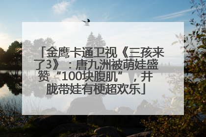 金鹰卡通卫视《三孩来了3》：唐九洲被萌娃盛赞“100块腹肌”，井胧带娃有梗超欢乐