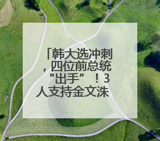 韩大选冲刺，四位前总统“出手”！3人支持金文洙，尹锡悦被指“帮倒忙”
