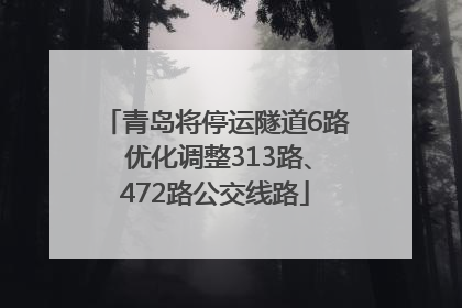青岛将停运隧道6路 优化调整313路、472路公交线路