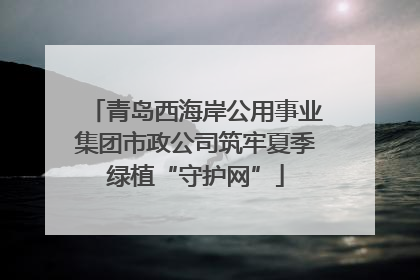 青岛西海岸公用事业集团市政公司筑牢夏季绿植“守护网”