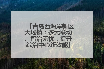 青岛西海岸新区大场镇：多元联动、智治无忧，提升综治中心新效能
