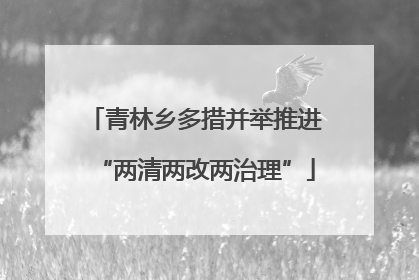 青林乡多措并举推进“两清两改两治理”