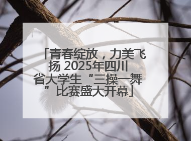 青春绽放，力美飞扬 2025年四川省大学生“三操一舞”比赛盛大开幕