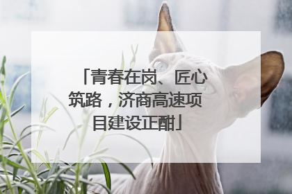 青春在岗、匠心筑路，济商高速项目建设正酣