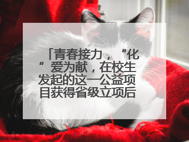 青春接力，“化”爱为献，在校生发起的这一公益项目获得省级立项后正式启动