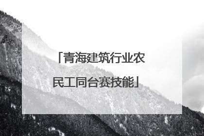 青海建筑行业农民工同台赛技能