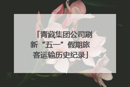 青藏集团公司刷新“五一”假期旅客运输历史纪录