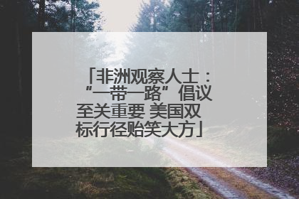 非洲观察人士：“一带一路”倡议至关重要 美国双标行径贻笑大方
