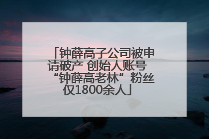 钟薛高子公司被申请破产 创始人账号“钟薛高老林”粉丝仅1800余人