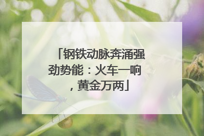 钢铁动脉奔涌强劲势能：火车一响，黄金万两