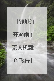 钱塘江开渔啦！无人机载鱼飞行