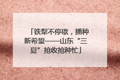 铁犁不停歇，播种新希望——山东“三夏”抢收抢种忙