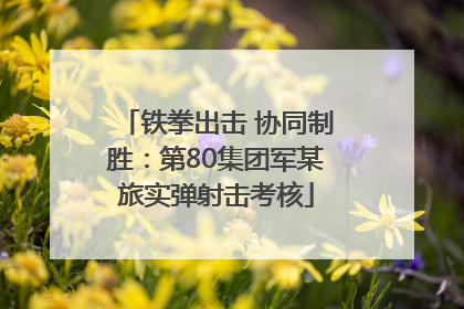 铁拳出击 协同制胜：第80集团军某旅实弹射击考核