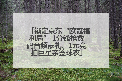 锁定京东“欧冠福利局” 1分钱抢数码音频豪礼、1元竞拍巨星亲签球衣